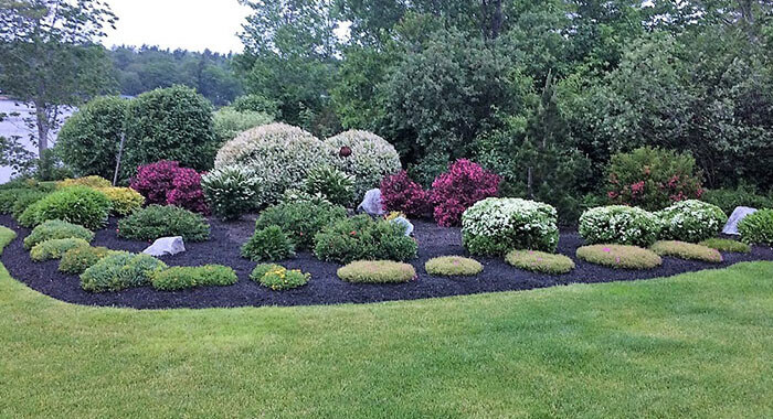 Landscaping Services